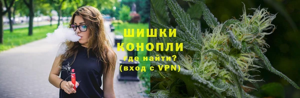 гидропоника Богородицк