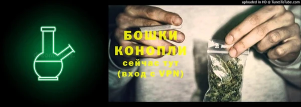 гидропоника Богородицк