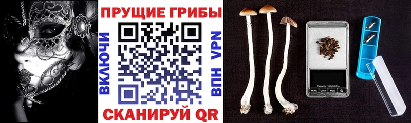 Галлюциногенные грибы Magic Shrooms  Купить где  Прокопьевск 